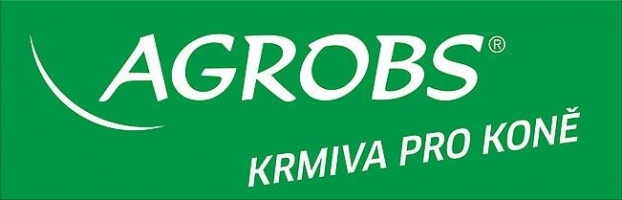 Koně